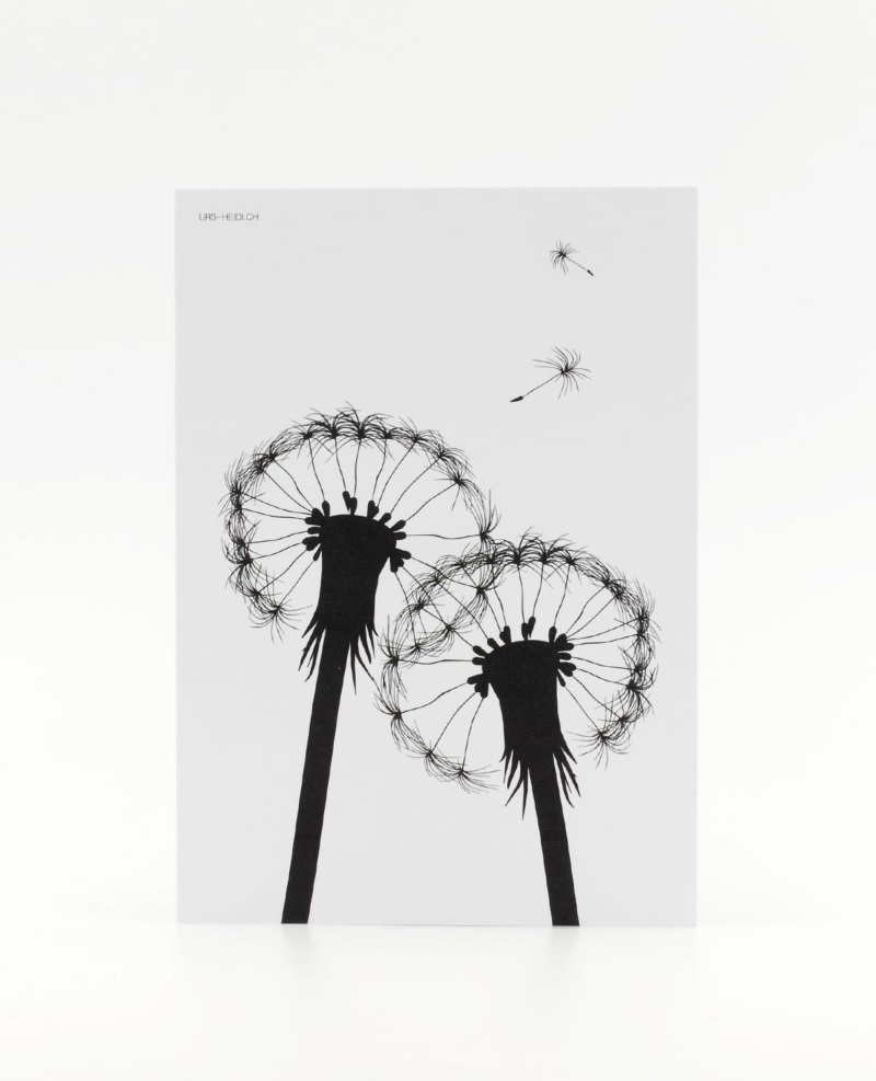 Postkarte grafisch in schwarz-weiss mit illustrierter Pusteblume